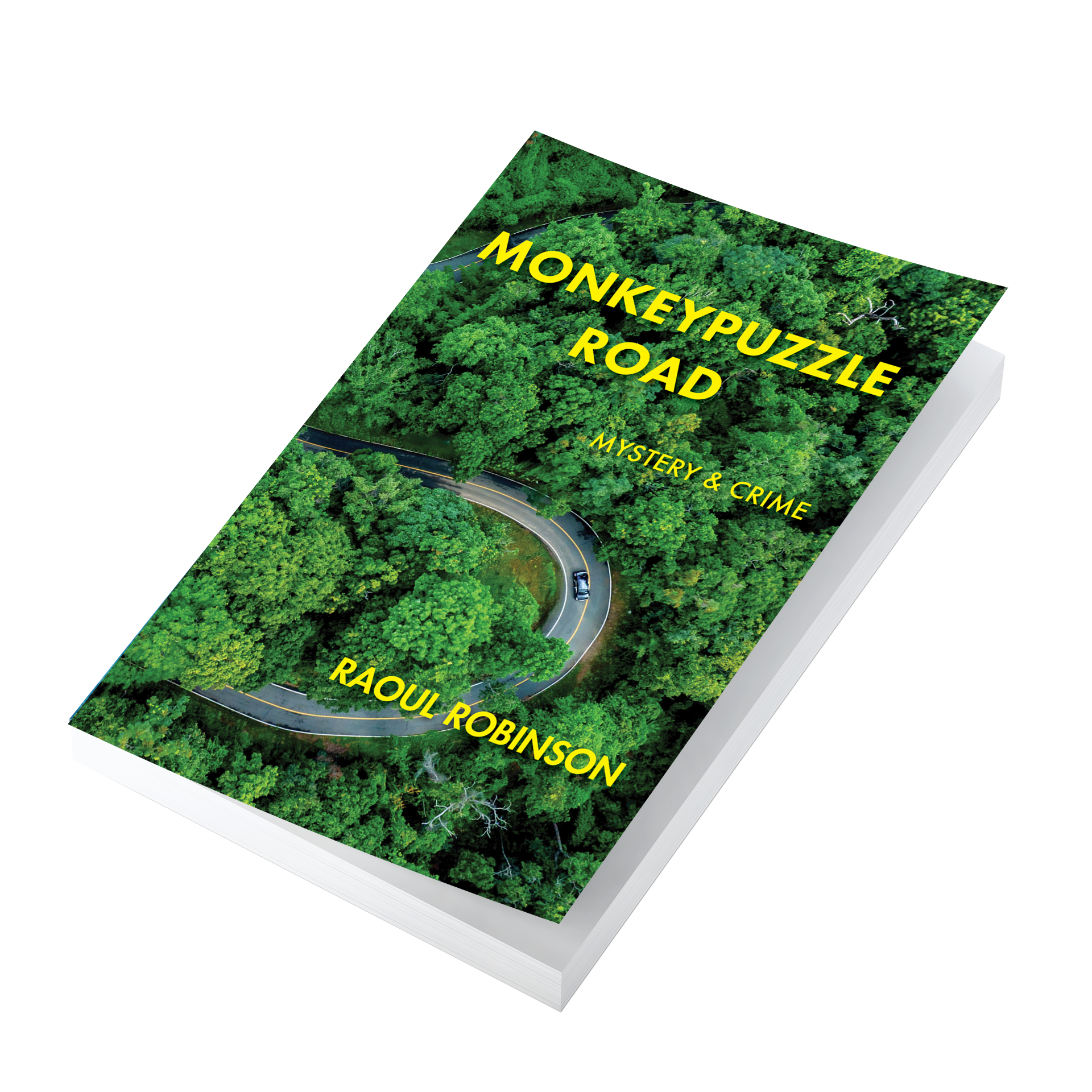 Monkeypuzzle Road Book